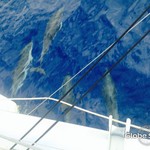 Lagoon 400