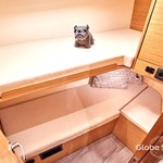 Elan Impression 45.1