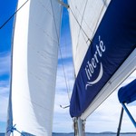 Lagoon 500