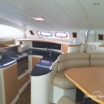 Leopard 43