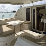 Leopard 43