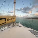 Leopard 43