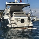 Pearl 50