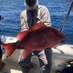 Rodman 1250 Fisher Pro