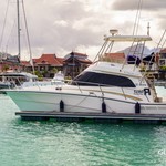 Rodman 1250 Fisher Pro