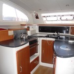 Leopard 43