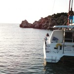 Leopard 38