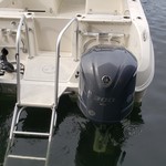 World cat 250 dc