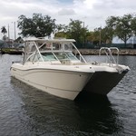 World cat 250 dc