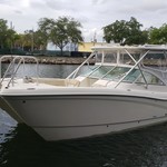 World cat 250 dc