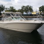 World cat 250 dc