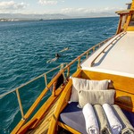 Simpson 12 meter junk rigged