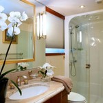 Westport Endless Summer