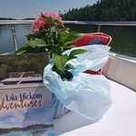 Bluewater yachts 42 coastal cruiser