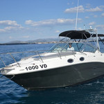 Sea Ray 275 Amberjack