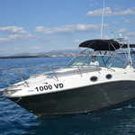 Sea Ray 275 Amberjack