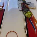 Formula 353 FASTech