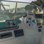 Shark 23