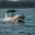 Shark 23