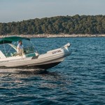 Shark 23