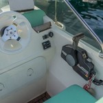 Shark 23