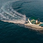 Shark 23