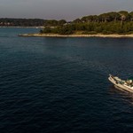 Shark 23