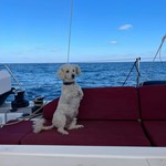 Beneteau Oceanis 51.1