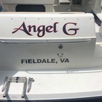 Chaparral 290 Signature