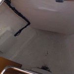 Jeanneau Sun Odyssey 479