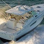 Wellcraft 290 Coastal