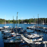 Northman Maxus 26