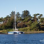 Dragonfly 35
