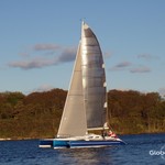 Dragonfly 35