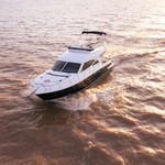 President president 46 flybridge