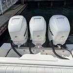 Intrepid 370 cuddy