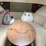 Boston Whaler 315 Conquest