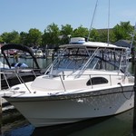 Grady-White Marlin 300