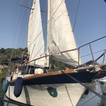 Nauticat  441