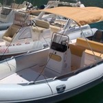 Predator 570