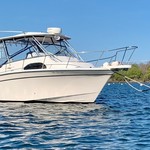 Grady-White Marlin 300