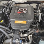 Rinker Fiesta Vee 310