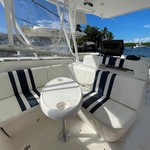 Intrepid 310 walkaround