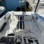 Intrepid 310 walkaround