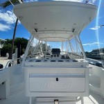 Intrepid 310 walkaround