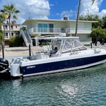 Intrepid 310 walkaround