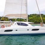 Leopard 44