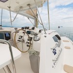 Leopard 44