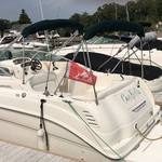 Sea Ray 260 Sundancer