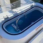 Wellcraft 262 Fisherman